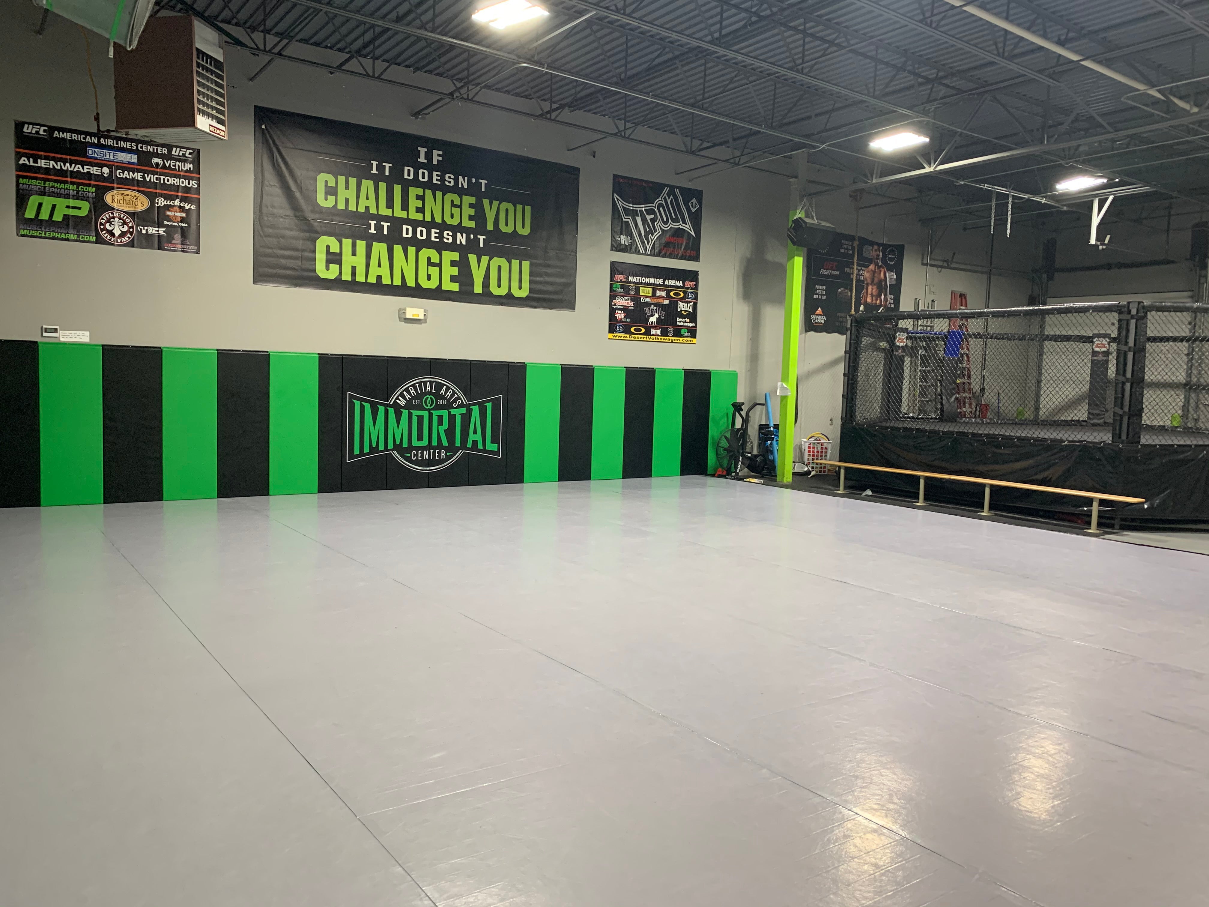 Immortal Gym featuring AK Athletics Martial Arts Mats and Wall Mats 