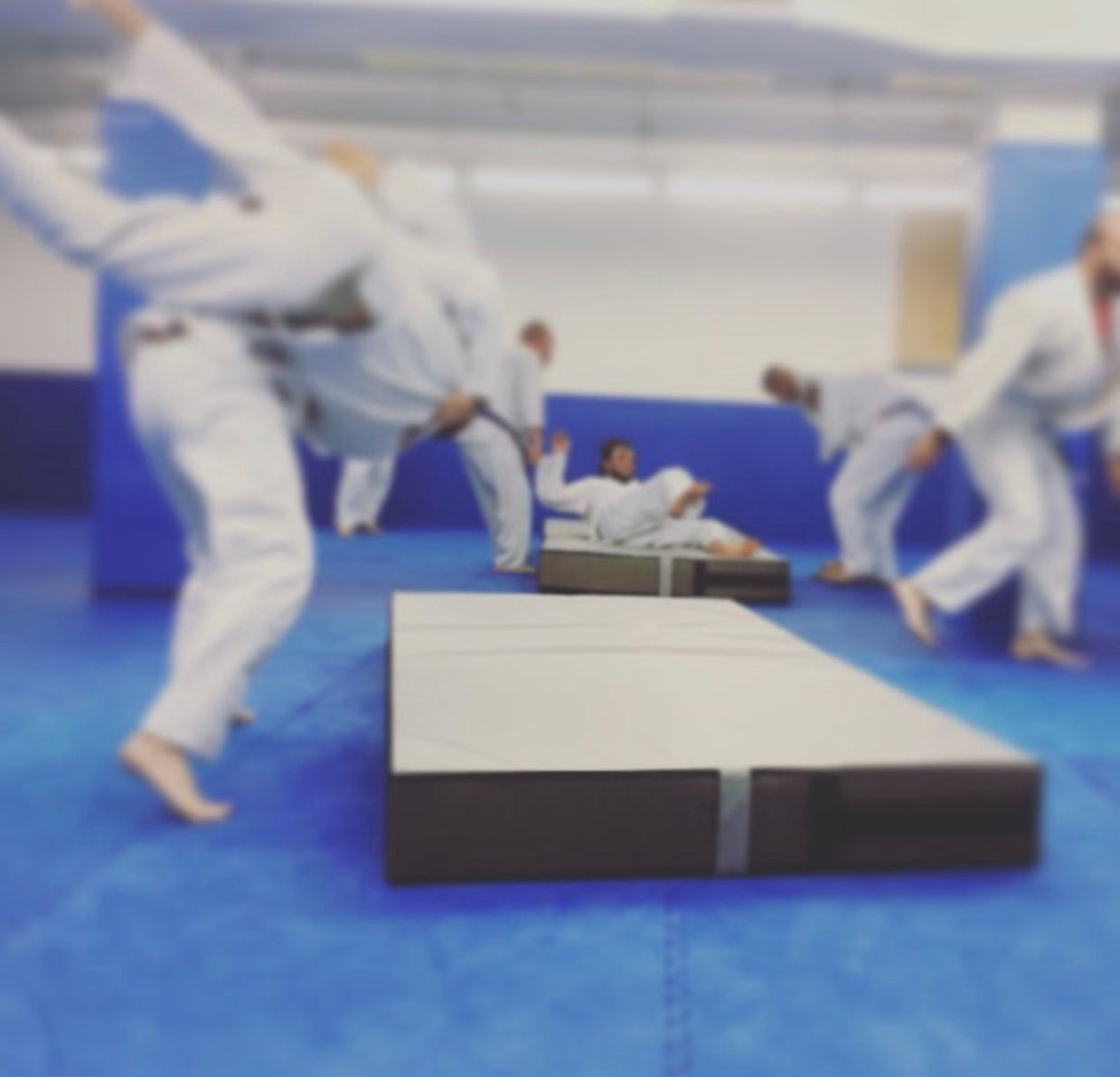 bjj throw mat landing mat