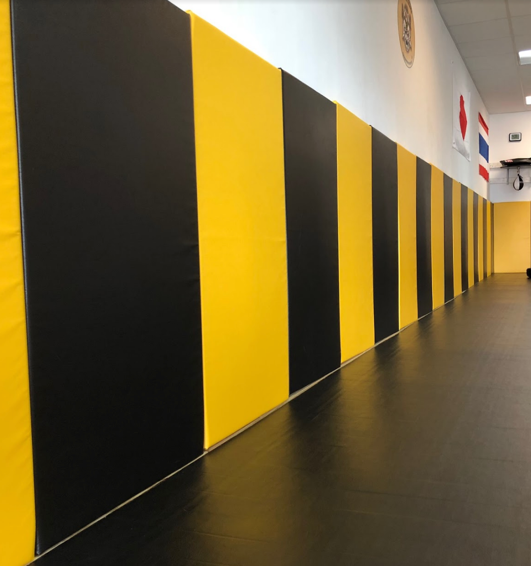 Jiu Jitsu Gym with AK Athletics Wall Padding