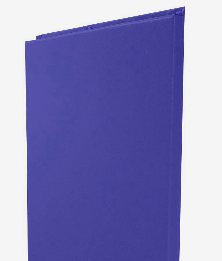 Wood Backed Gym Wall Padding Panels 2' x 6'