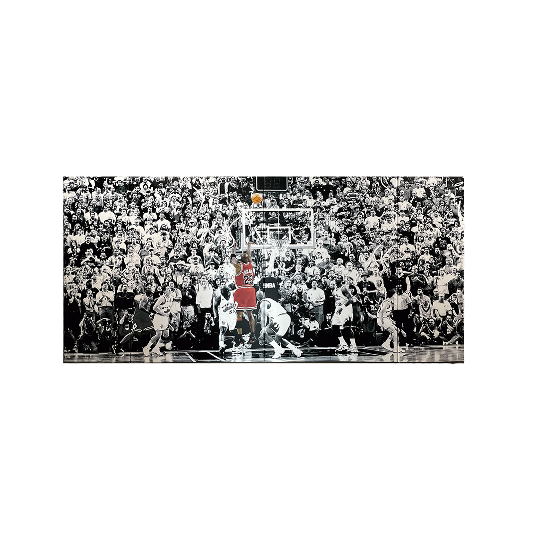 Digitally Printed Wall Padding- Michael Jordan's Last Shot