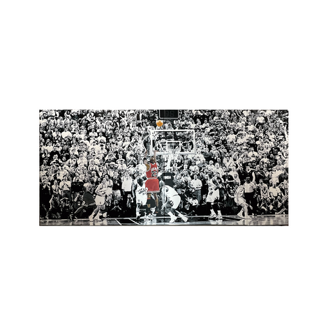 Digitally Printed Wall Padding- Michael Jordan's Last Shot