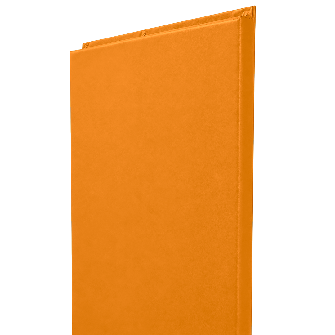 FlameSafe "Class A" fire rated Wood Backed Gym Wall Padding Panels 2' x 6'