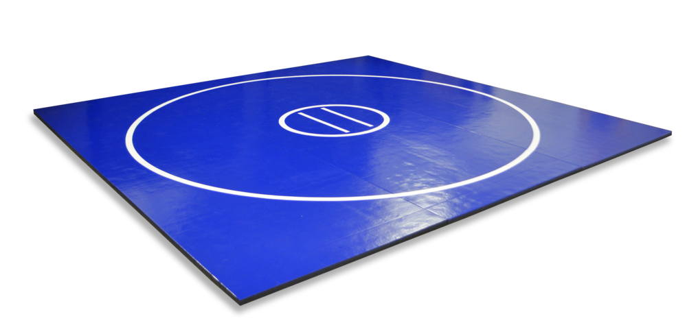 Blue wreslting/MMA mat. Practice wrestling and mixed martial arts in any room. Customization available. 